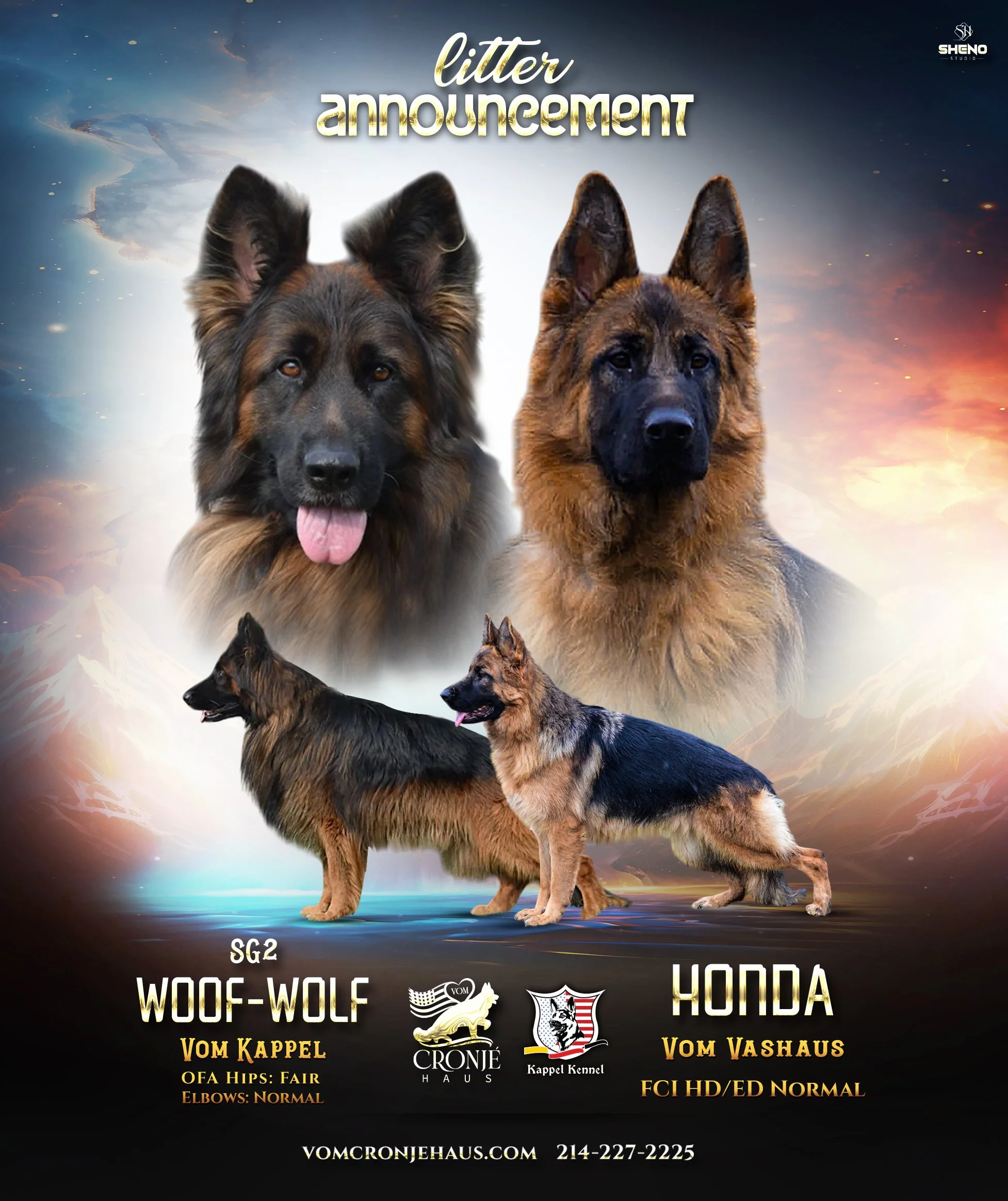 Long Coat GSD Puppies — Vom Cronje Haus German Shepherds